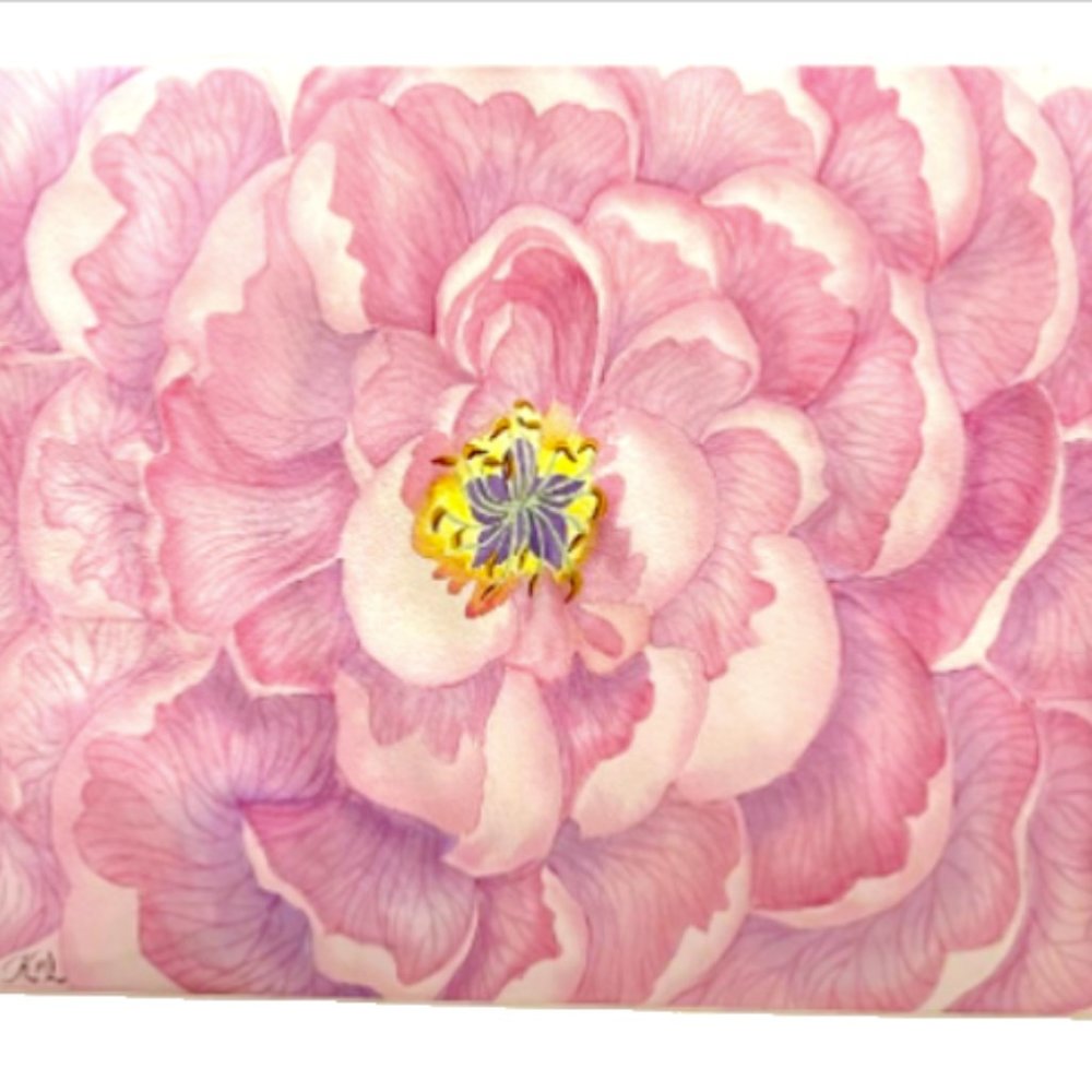 PAINTING WATERCOLOR ORIGINAL ART PEONY FLOWER PINK PURPLE 11x14 MAT 16X20 FLORAL